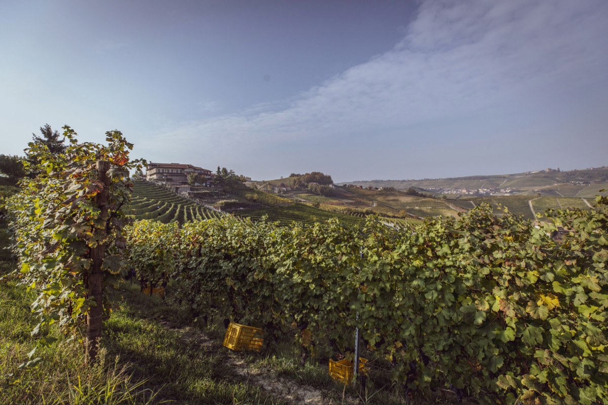 Piedmont: Rise or Fall?